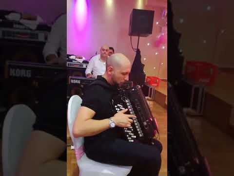 Aca Cergar Goran Gorila i Zeljko Nikolic