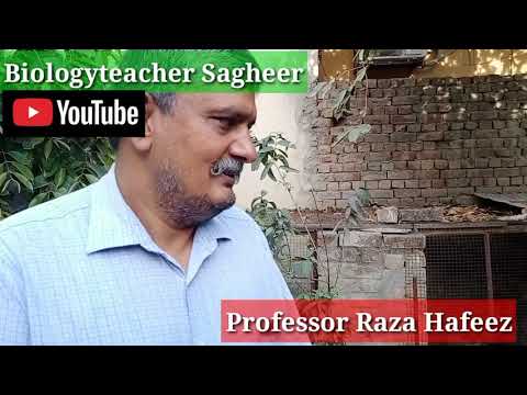 Courtyard plantation || courtyard animals || Raza Hafeez || Biologyteacher Sagheer ||