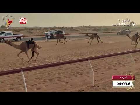  ش 6 (ثمينه) لـ سالم احمد سلطان بالرشيد السويدي 9:40 , شارة الديوان 2 2026/10/18 اللبسه حول زمول  