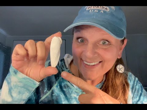 SHELLING SANIBEL ISLAND - 8 months EXACTLY post-Hurricane Ian *Part 1 of 3