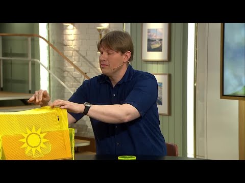 Anders Olofsson från Överkalix skrapar triss - Nyhetsmorgon (TV4)