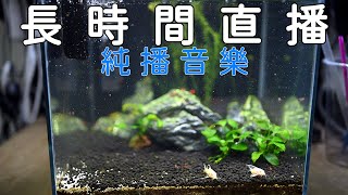 長時間直播 聽音樂 | 1080P