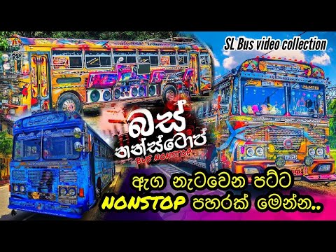 SL BUS Tik Tok Collection  Bus madness ‍  Bus pisso  Bus Modification Sri Lanka  Beautiful Buses