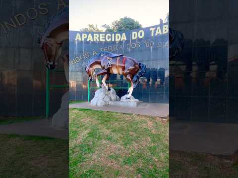 60 DIAS APAIXONADO APARECIDA DO TABOADO/MS #reels #matogrossodosul