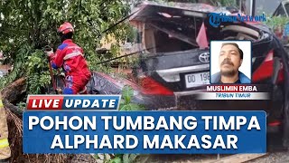 Mobil Alphard Pak RT Ringsek Tertimpa Pohon Tumbang di Rappocini Makassar, Pagar Ikut Rusak