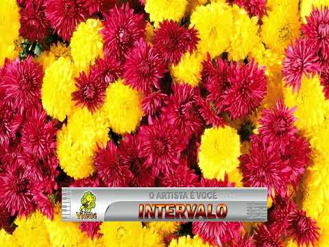 02882 - Sérgio Britto e Negra Li - AQUI NESTE LUGAR -==Karaoke–Videoke – Playback - Raf electronics