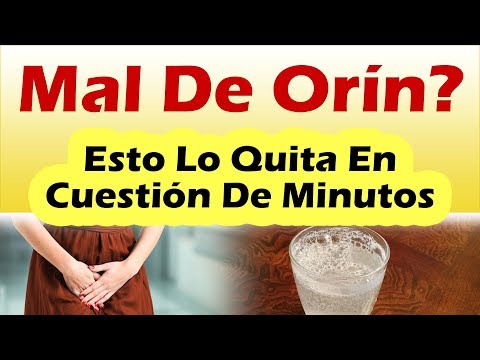 Remedios caseros para las infecciones de orina Remedios caseros para las infecciones de orina
