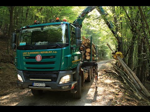 Tatra Phoenix 2024 / Tatra 2024