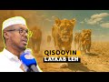 SHEEKH MUSTAFE 10 KII QISO EE UGU LAYAABKA BADNAA DAAWO HADA