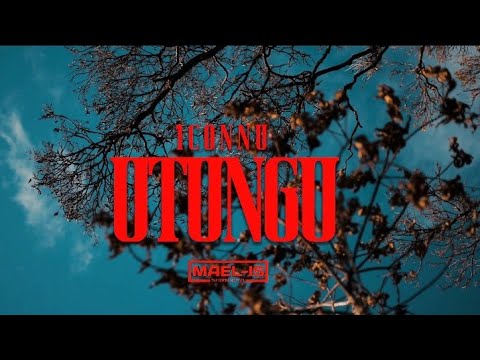 1CONNU - UTUNGU ( Clip Officiel )