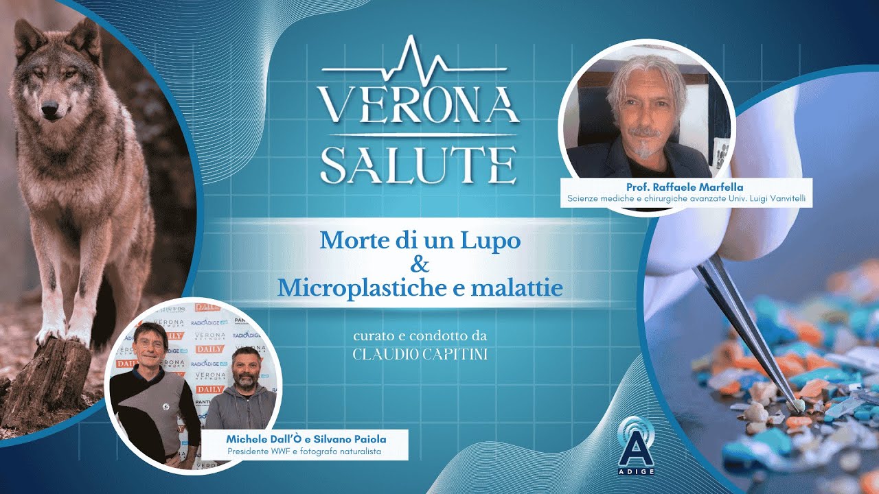 Descrizione dell'immagine