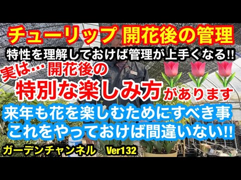 開花後:来年のために花の種を集めます。 庭の練習