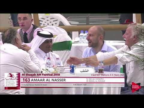 N163 AMAAR AL NASSER - 2019 Al Shaqab Arabian Horse Show Festival - 4-6 years old stallions (cla...