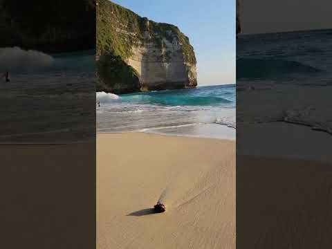 "Island of Gods" Honeymoon Getaway #shorts #travel #chill #trending #trendingshorts #asia #hot #love