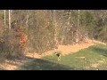 Dawson S First Deer