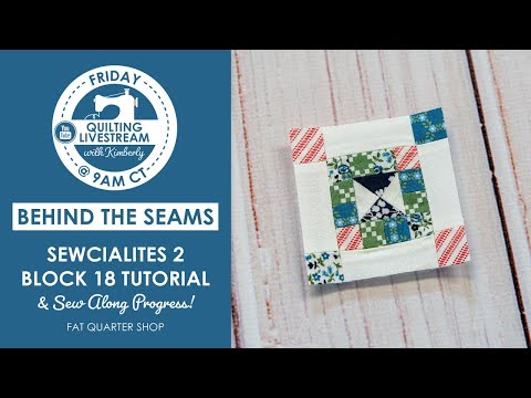This Block has us SPELLBOUND! 📖 Designed by Robin Pickens #Sewcialites2 Block 18 Tutorial