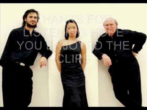 NEW 2CELLOS STJEPAN HAUSER  BRUCH with LESLIE CRAVEN and YOKO MISUMI.wmv