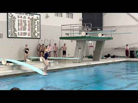 Metro Diving Championships