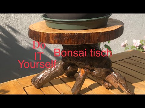 DIY Bonsai Stands /Bonsai oder Kleinholz 2022-23