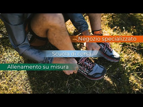 La rottura dellanca legamenti nei gatti Può unernia nella colonna cervicale causare un ictus