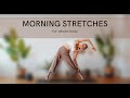 MORNING STRETCHING EXERCISES For WHOLE BODY Literally