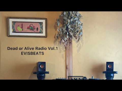 Dead or Alive Radio : EVISBEATS  Vol.1 幻想