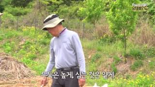 5강실습 모종정식 지주대