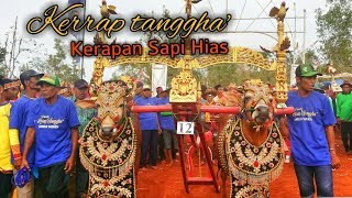preview picture of video 'Kerrap Tanggha' ( Kerapan Sapi Hias ), Budaya Masyarakat Desa Langsar dan Sekitarnya'