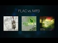 FLAC vs. MP3 (blind A/B sound test)