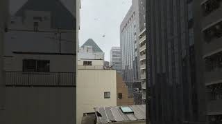 東京営業所雪　2025春