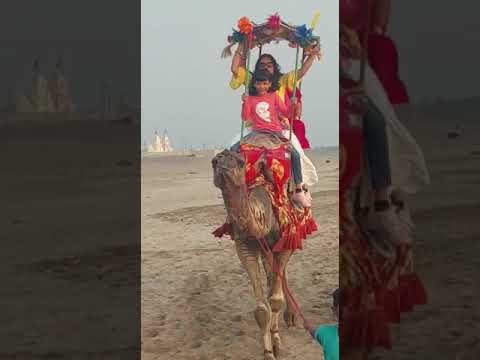 somnath trip....camel ride... #youtubeshort #nice #viralvideo 1M view