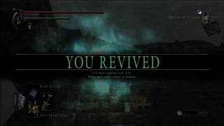 Storming Away - Let's Play Demon's Souls Part 141