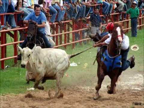 CHEO HERNANDEZ PRISCO  canta:  RECIO CAMPEON GUARIQUEÑO