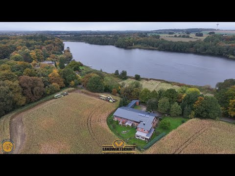 Der Hausbesitzer ist vom Mais Umzingelt Zeit Platz zu Schaffen LU Barkmann räumt die Fläche umgehend