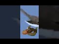 Eagle Vs Sea Snake Eagle Bad Chance أفعى البحرتفاجئ النسر