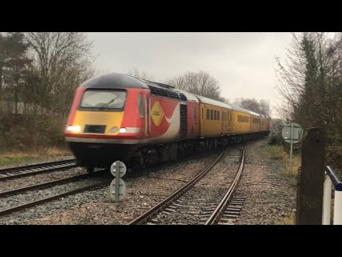 7 tone from nmt HST 8/1/2022