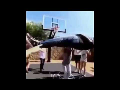 listening to neutral milk hotel for the first time