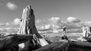 &#39;Old Swan&#39;  Mark Lanegan Band, from the album Gargoyle