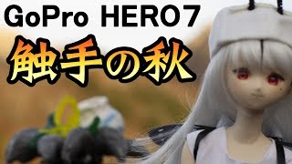 【GoPro HERO7】4K 紅葉 絶景 触手 妖精
