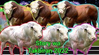 Download lagu Viral..! Story wa Takbiran Idul Fitri 2022. Animasi anak, kartun lucu, babybus, Truk oleng, mainan mp3 Download lagu Viral..! Story wa Takbiran Idul Fitri 2022. Animasi anak, kartun lucu, babybus, Truk oleng, mainan mp3