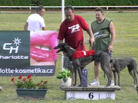 Federation Sprint & Trophy - finals 8. 7. 2012 race 16