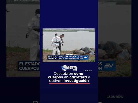 Descubren ocho cuerpos en carretera y activan investí