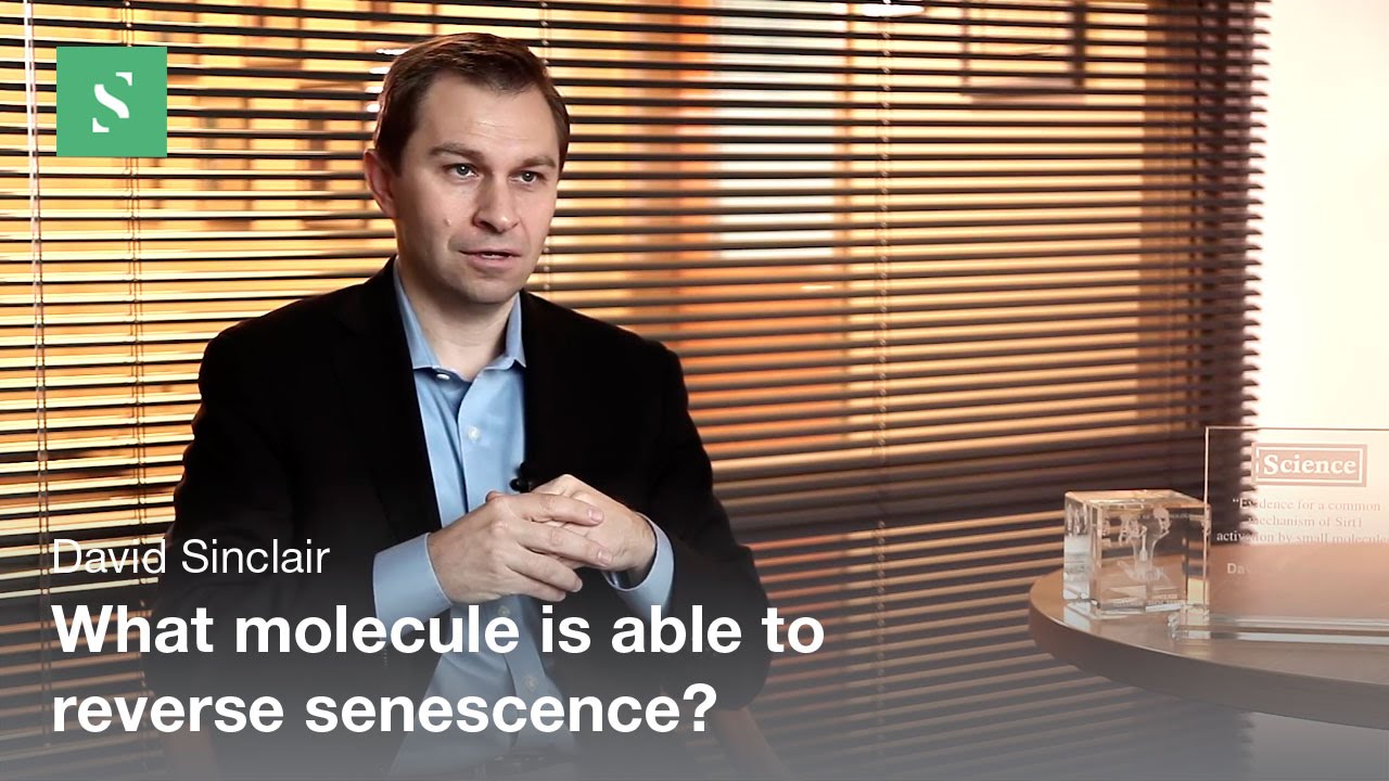 The Role of Mitochondria in Aging and Disease - David Sinclair