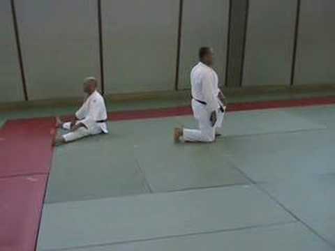 Zusätzliche Kata für den 6. Dan / Judo