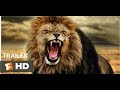 THE LION KING 3D 2019 Official Trailer 1 All In One I WorldWide Trailers