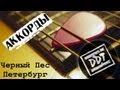 ДДТ - Черный Пес Петербург l DDT Black Dog COVER 
