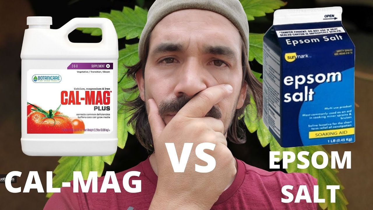 🤔🤔Cal-Mag vs Epson Salt