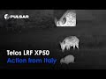 Pulsar Wärmebildkamera Telos LRF XP50