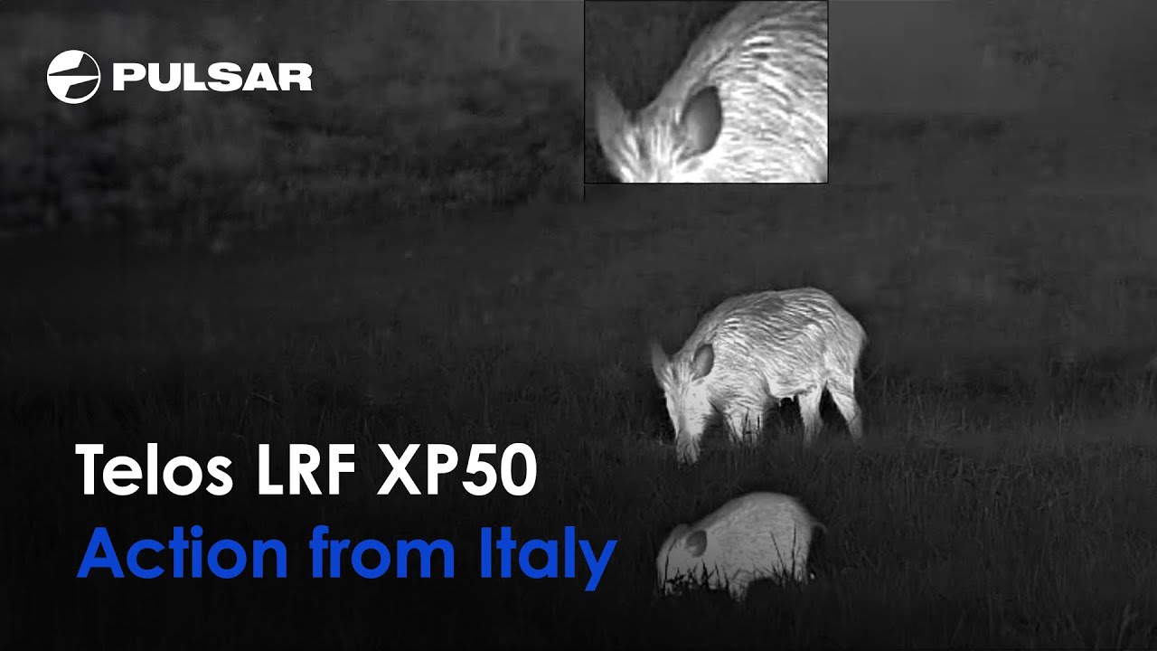 Pulsar Wärmebildkamera Telos LRF XP50