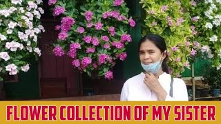 FLOWER COLLECTION NI SISTER GRETA | Ghi Vlogs 🏳️‍🌈🇵🇭94